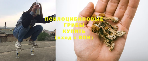 винт Усмань